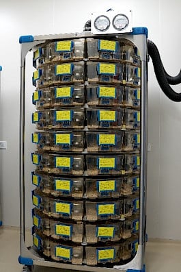 Optimice Cage System