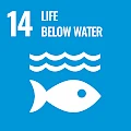 Shiv Nadar IoE SDG 14: Life Below Water