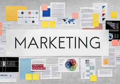 Marketing Management Course - Master the Art & Science of Marketing