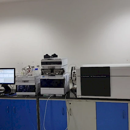 Liquid Chromatography Mass   Spectrometry (LCMS)