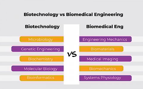 Find what your're truly passionate about - Biotechnology or Biomedical Engineering!