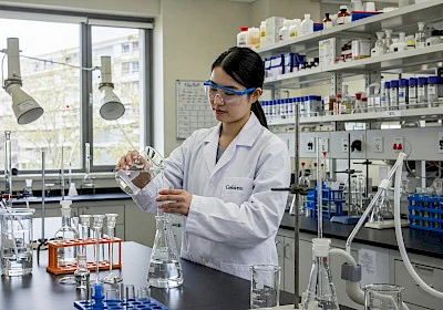 B. Sc. in Chemistry: Immerse Yourself Into Chemical Principles