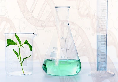 Elevate Your Understanding of the Natural World with a B. Sc. Chemistry Degree