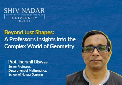 Beyond Just Shapes: A Professor’s Insights into the Complex World of Geometry