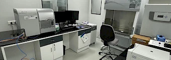 Cytek Aurora CS Cell Sorter