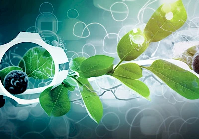 Biotech Basics: A Deep Dive into B.Sc. Biotechnology Course Structure