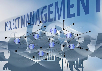 Ph.D. in Management: From Academic Research to High-Level Leadership in Fortune 500 Companies