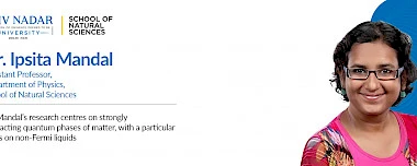 Strangely Irresistible: Deciphering the Behaviour of ‘Strange Metals’