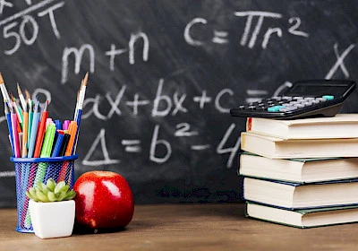 A World of Infinite Possibilities: What B.Sc. Mathematics Subjects can Teach You