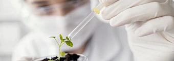 Plant Biotechnology, Climate Change and Sustainability