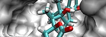 Disease Pathogenesis and Therapeutics