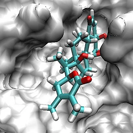 Disease Pathogenesis and Therapeutics