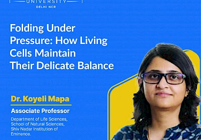 Folding Under Pressure: How Living Cells Maintain Their Delicate Balance