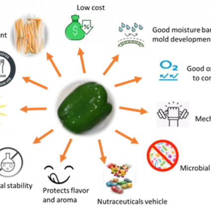 Biodegradable Packaging Films