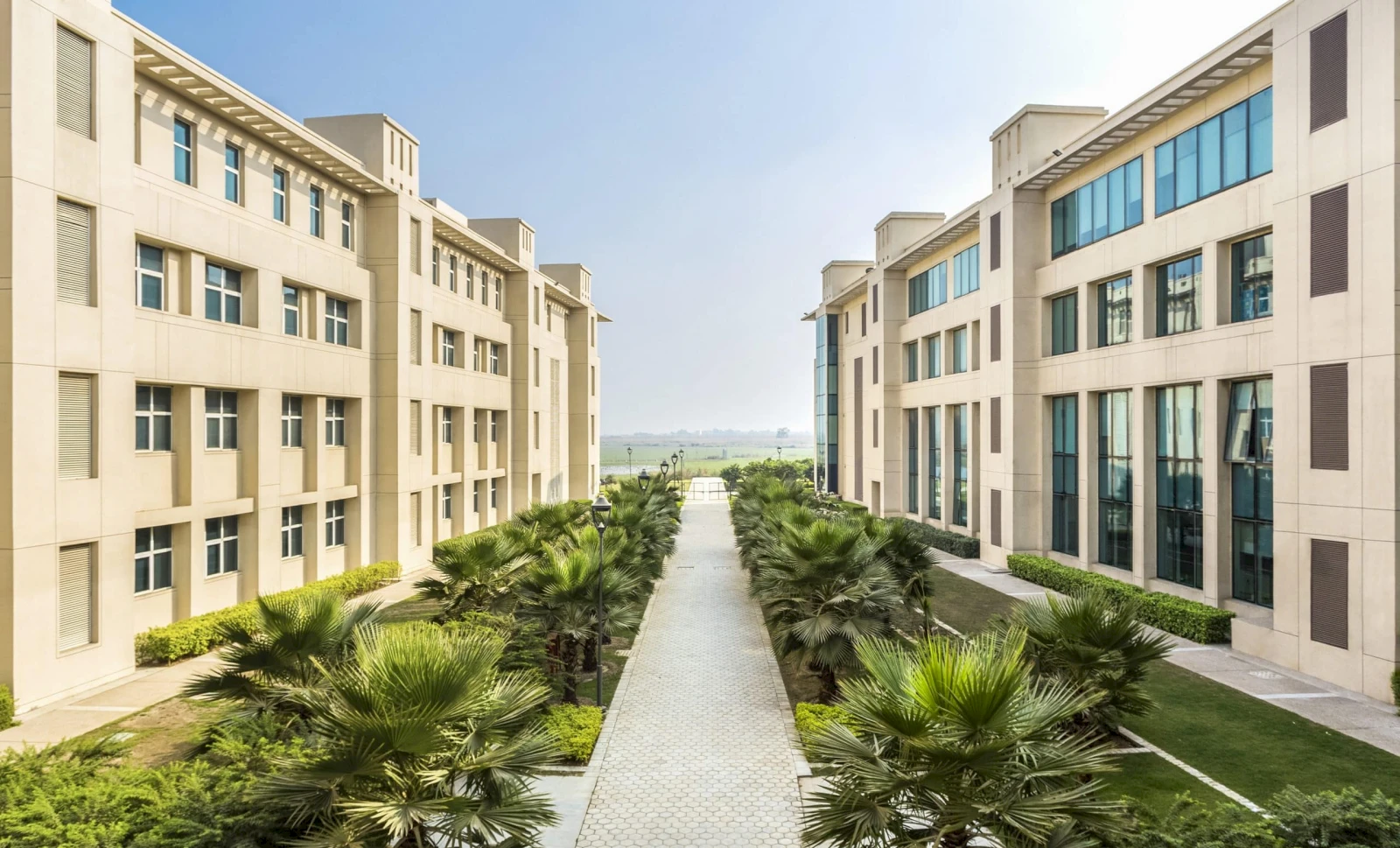 B.Des. vs. BFA vs. BArch