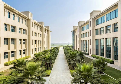 B.Des. vs. BFA vs. BArch—Which Design Path is Right for You?