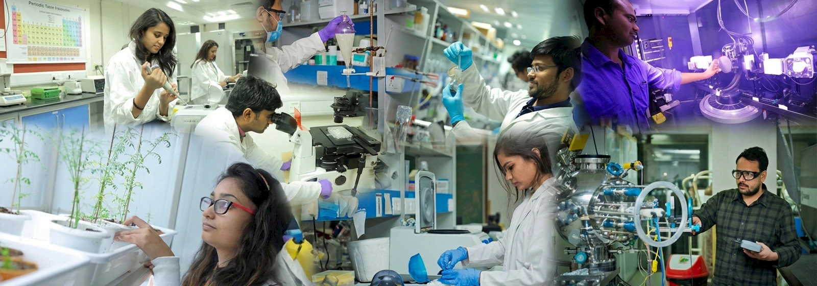 Integrated M.Sc.-Ph.D. in Life Sciences