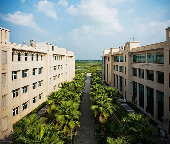 shiv_nadar_university_