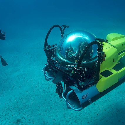 Design And Development Of Bio-Inspired Unmanned Underwater Vehicle